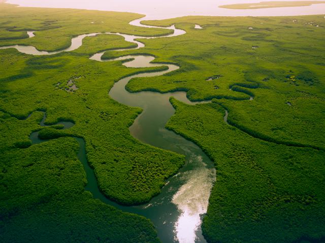 Aerial_view_653