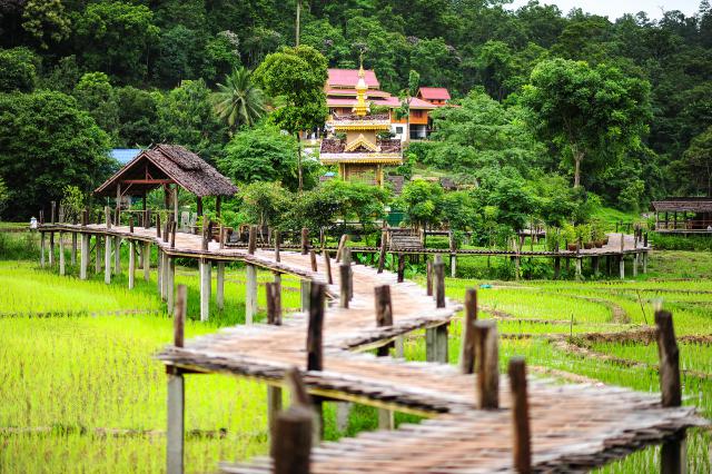 thailand_871