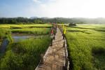 thailand_874