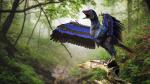Birds_359