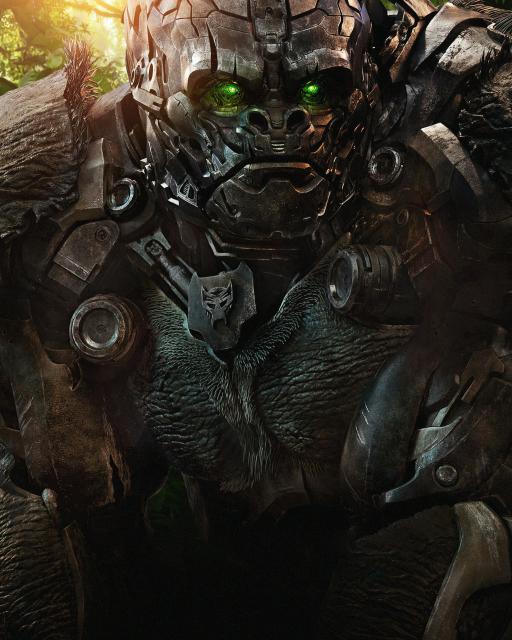 transformers_29