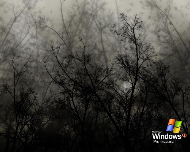 windows_xp_143