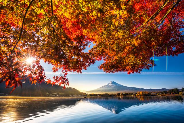 Japan_218