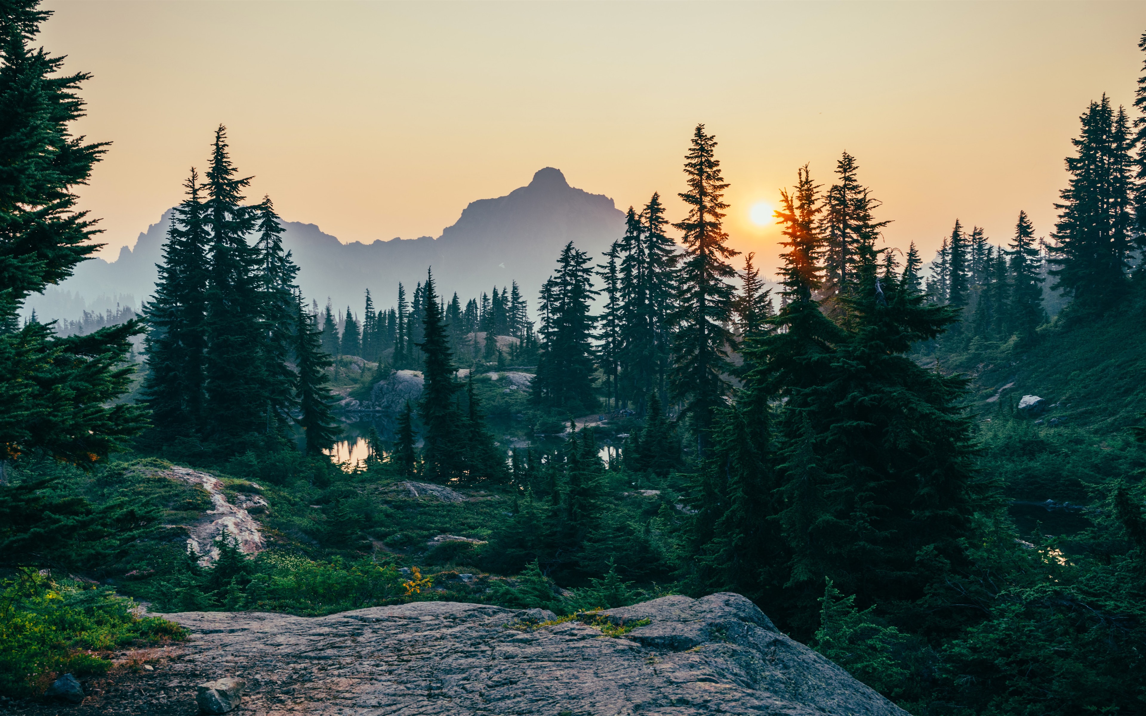 Sunrise_449