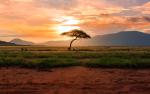 Sunrise_450