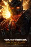 transformers_35