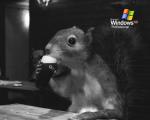 windows_xp_163