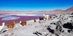 south_america_279
