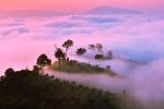 thailand_932