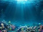oceans_166