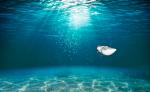 oceans_172