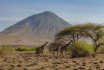 africa_180