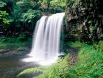 waterfalls_010