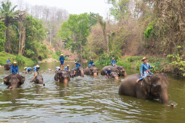 thailand_985