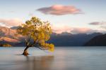 New_Zealand_227
