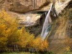 waterfalls_014