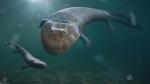 ocean-life-788