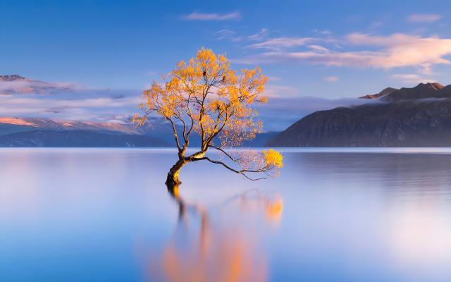 New_Zealand_228