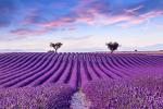 France_182