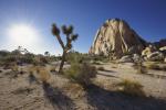 Parks_372