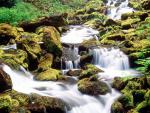 waterfalls_053