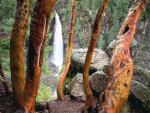 waterfalls_055
