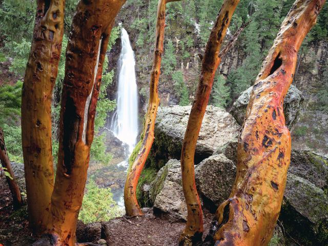 waterfalls_055