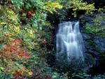 waterfalls_059