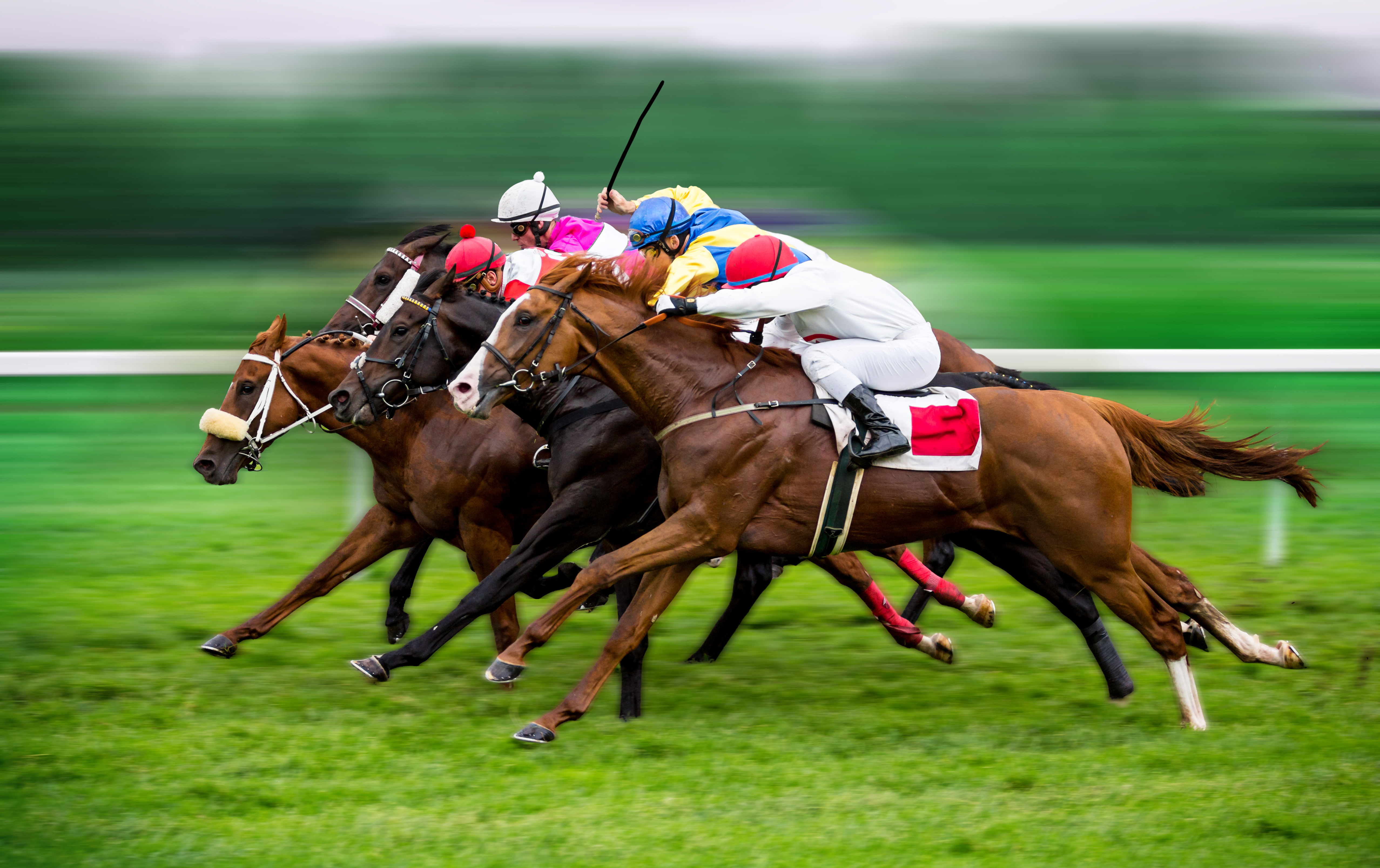 horse_racing_16