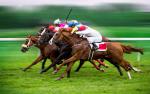 horse_racing_16