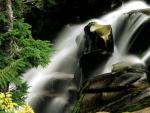 waterfalls_070