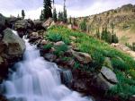 waterfalls_086