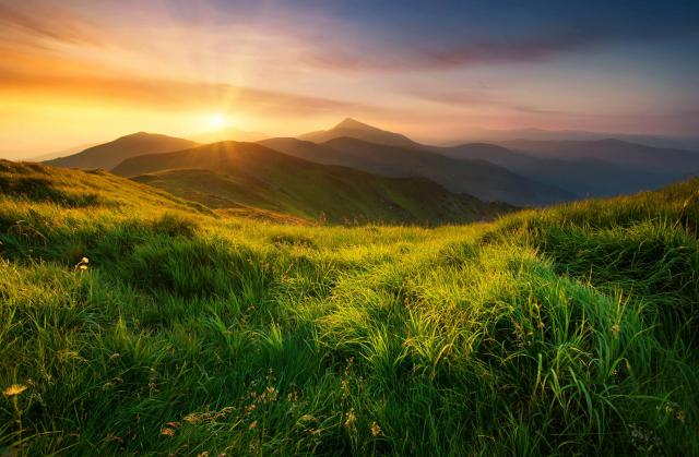 Sunrise_462