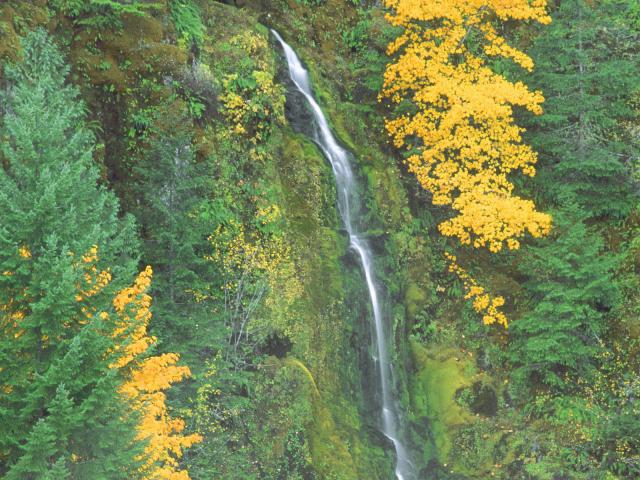 waterfalls_096