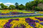 Australia_227