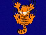 Garfield_09
