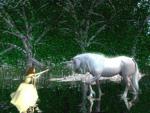 Fantasy_005
