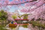 Japan_257