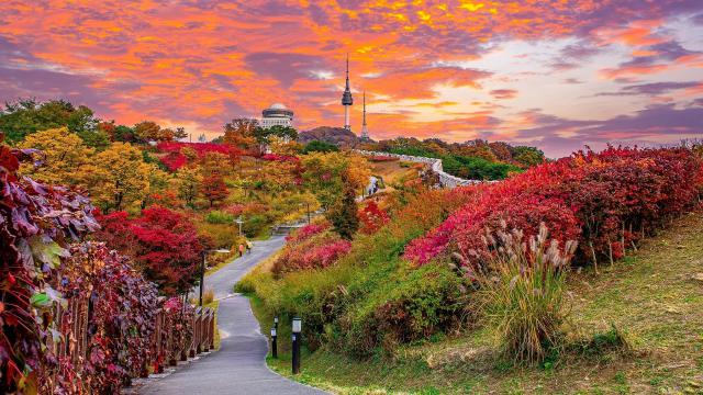 south_korea_33