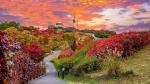 south_korea_33