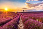 Sunset_1390