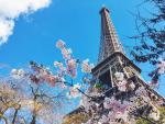 France_493