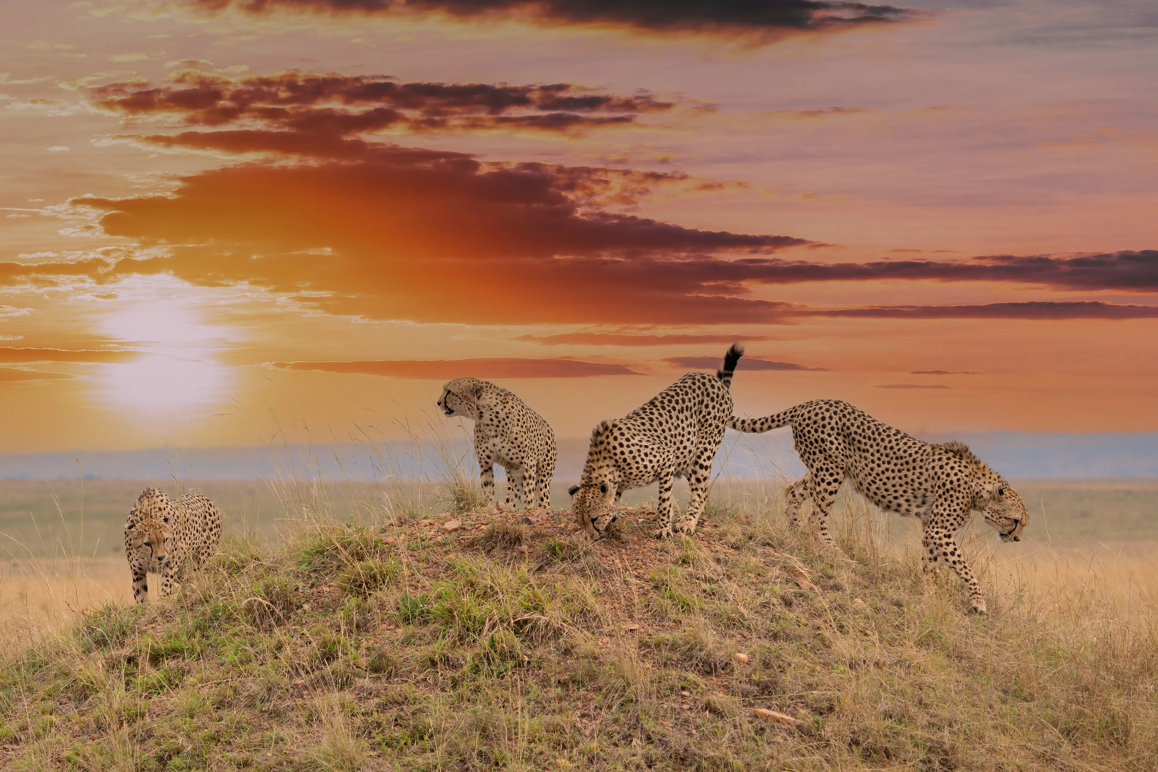 Sunrise_476