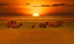 Sunset_1397