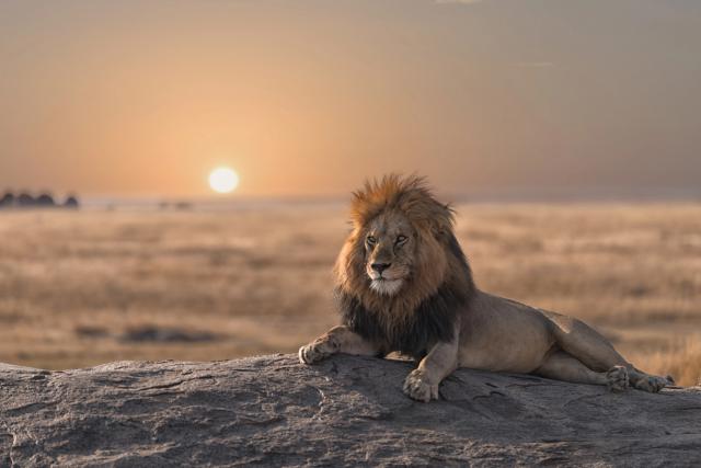 Sunrise_477