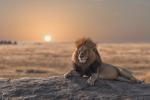 Sunrise_477