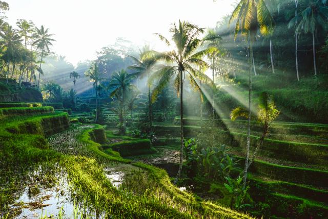 Indonesia_212