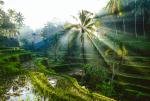 Indonesia_212