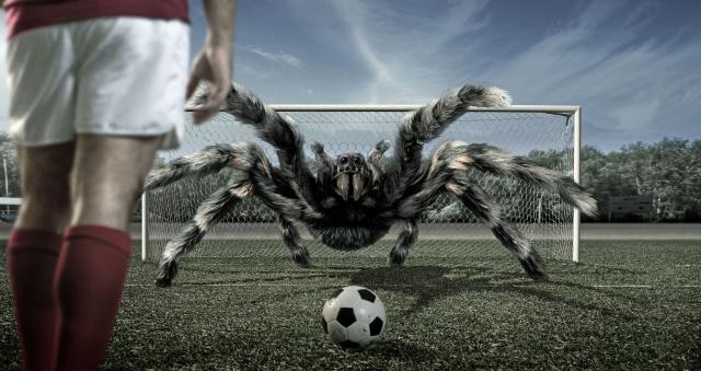 football_03