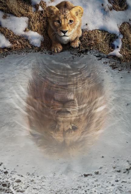 The_Lion_King_12